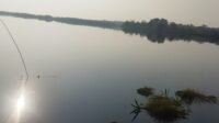 IMG_20231105_072449