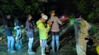 IMG-20240204-WA0562