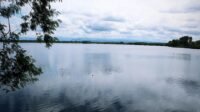 IMG-20250112-WA0020